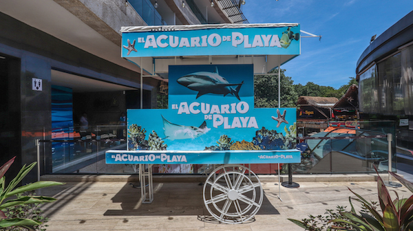 Playa del Carmen's aquarium offers respite from the rain and a chance to see over 200 marine species.